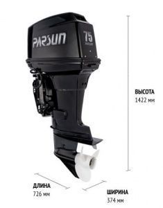 Лодочный мотор Parsun T 75 FEL-T